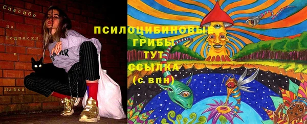 амф Протвино