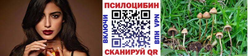 Псилоцибиновые грибы прущие грибы  Купить  Щучье 