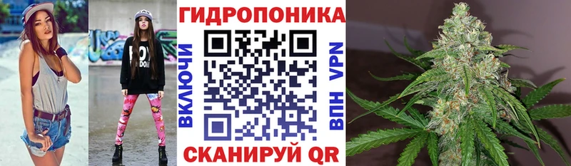Купить где  Щучье  Бошки Шишки ГИДРОПОН 
